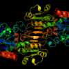 Alcohol Dehydrogenase
