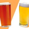 lager vs ale