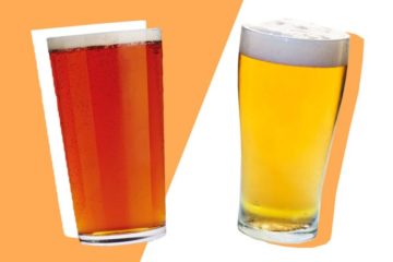 lager vs ale